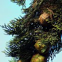 �������� 2014. �� ������� ������Ż