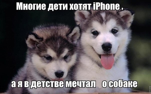 Art & Fun - 13  2015  21:12