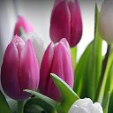 ���� �����, �����, 58 ��� - ��������� 2 ������� 2015 � ������ ������..������ ���������!�