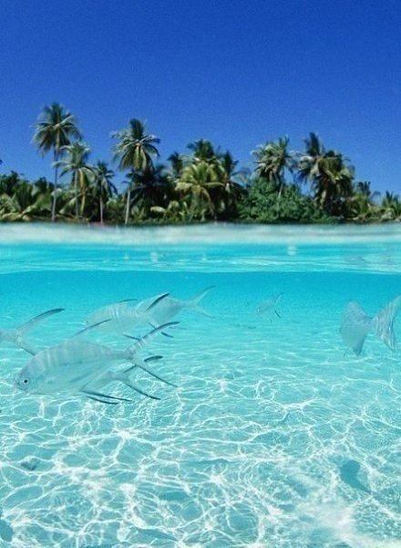 ...белый песочек...морской ветерок...отсутствие проблем