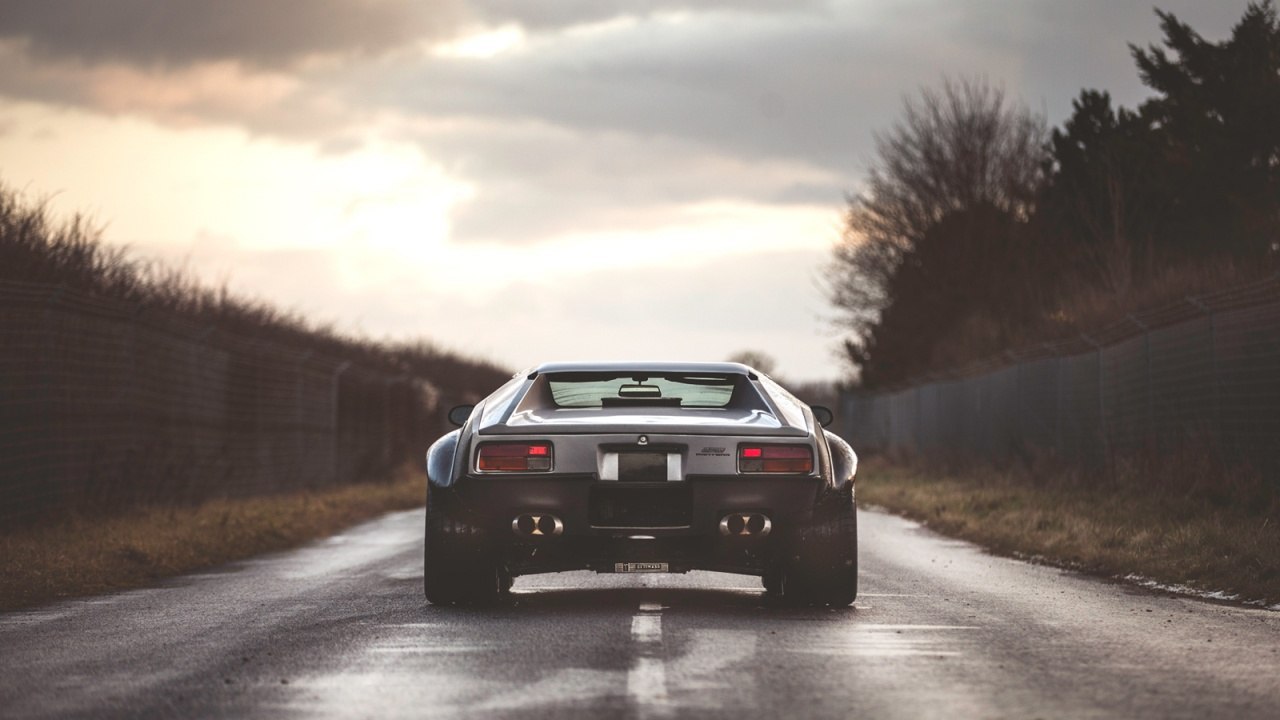 Shelby Pantera