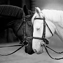  Raya, , 55  -  30  2015    