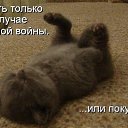 ���� ����., ������, 60 ��� - ��������� 30 ������� 2014 � ������ ������ ��������