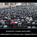���� �������, ������, 39 ��� - ��������� 9 ������ 2015 � ������ ������ ��������