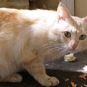 ���� �����, ������, 52 ���� - ��������� 15 ������� 2015 � ������ ���� ����������