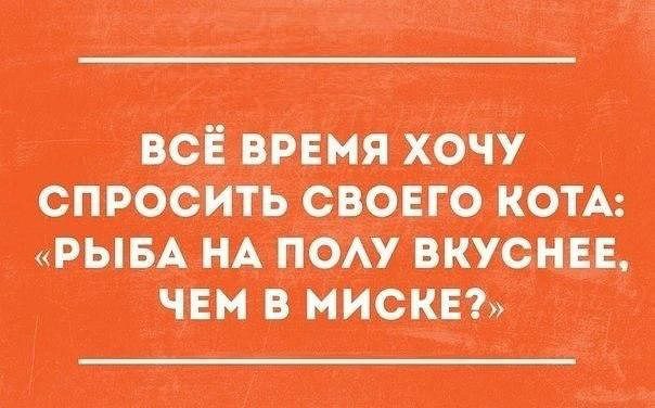   - 2  2015  14:18