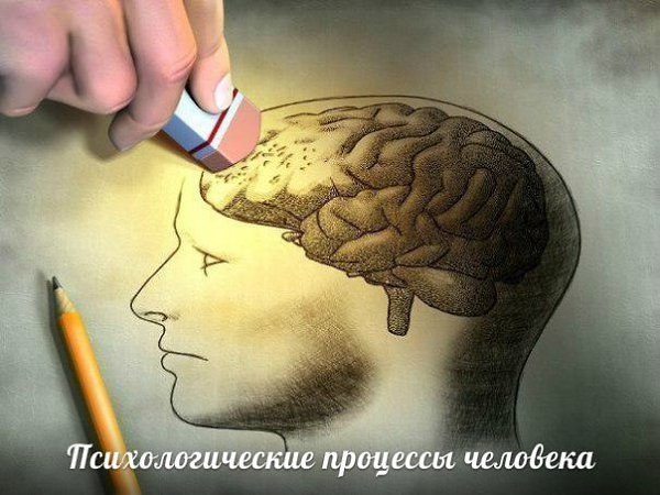 ЧЕЛОВЕЧЕСКАЯ ПСИХИКА ОСТАЕТСЯ ОДНОЙ ИЗ САМЫХ БОЛЬШИХ ЗАГАДОК В МИРЕ. Знали ли вы, насколько ошибочны ...