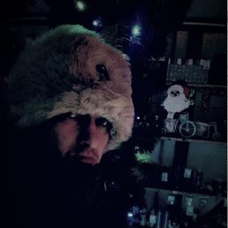 �������, ���������, 41 ���