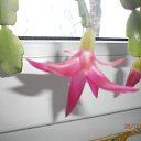 ���� ������, ������, 60 ��� - ��������� 28 ������� 2014 � ������ ������ ��������