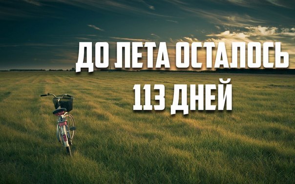 SportFeed - 7  2015  20:32