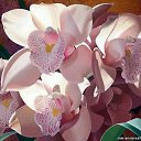 ���� ������, ���� - ��������� 30 ����� 2015 � ������ ������ ��������