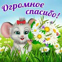  Aleksndr,  -  24  2015    