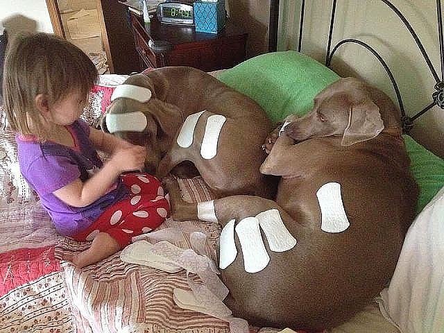  !  ""  "" :)