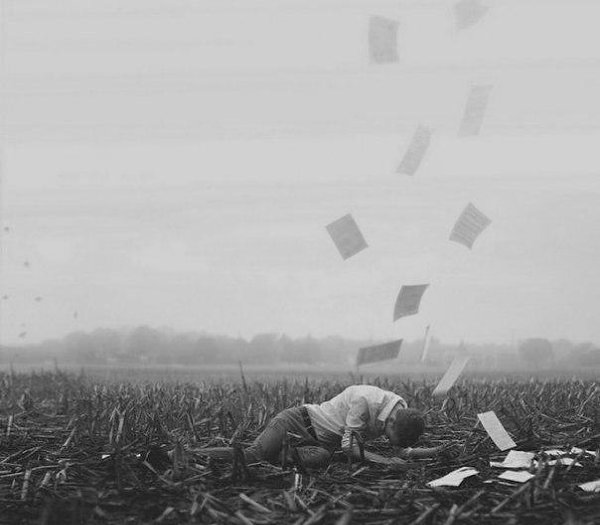Глаголы, которые лучше забыть.Выясняем, можно ли грамотному человеку «садить капусту» и куда-нибудь ...