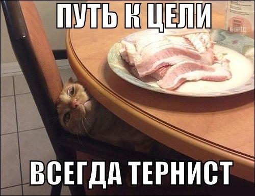       - 15  2015  13:02