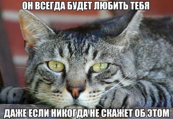  - 3  2015  00:06