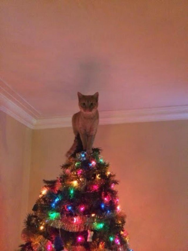      :)