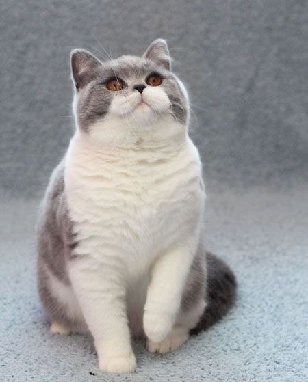 ^3