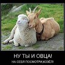 ���� �����, ���������, 47 ��� - ��������� 27 ����� 2015 � ������ ���� ����������