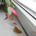 ���� ������, ������, 60 ��� - ��������� 28 ������� 2014 � ������ ������ ��������