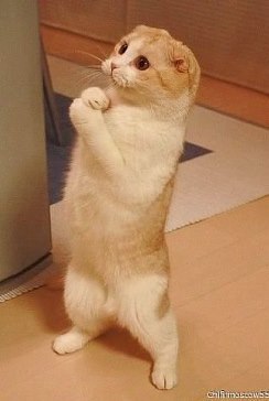 nerede ayipladigin bisey gorursen ayni eyin sendede oldugunu dusunerek bagislayici ...