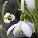 ���� *~*������� *~*, ������, 66 ��� - ��������� 8 ����� 2015 � ������ ������ ��������