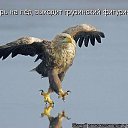 ���� �������, ��������� - ��������� 18 ������� 2015 � ������ ���� ����������