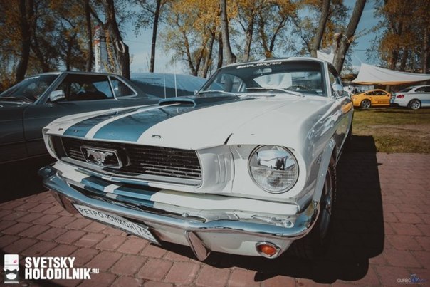 Musclecars - 6