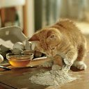  Tatyana, - -  30  2015    