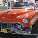 ���� ������, �����-���������, 55 ��� - ��������� 29 ������ 2015 � ������ ���� ����������