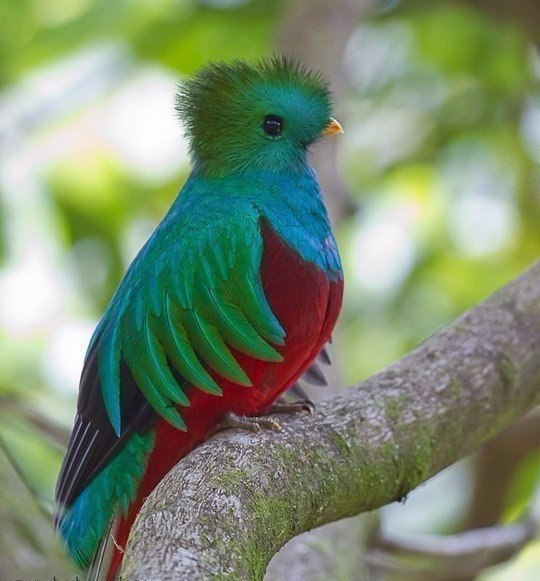    ,  ,   .#animal@travel.blog