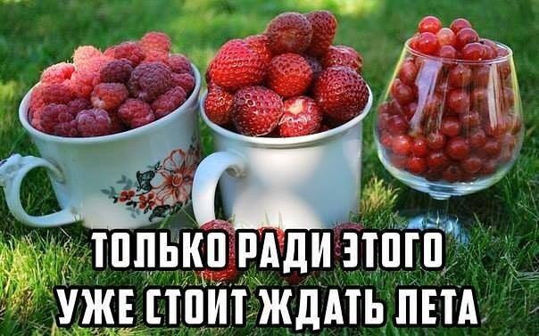   - 7  2015  19:21