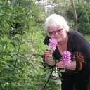 ���� ���, ����������, 57 ��� - ��������� 6 ������ 2015