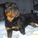 ���� �������, �����������, 57 ��� - ��������� 25 ������� 2014 � ������ �������