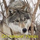  ,  -  11  2015    