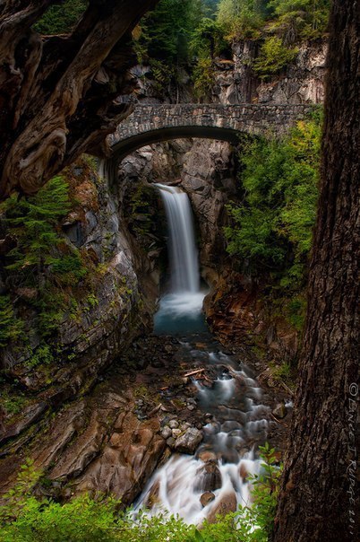 Christine Falls, , 