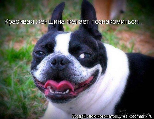 Валюша - 19 декабря 2014 в 10:02