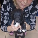 ���� ������, �����-��������� - ��������� 22 ������� 2014 � ������ ���� ����������