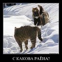  ,  -  22  2015    