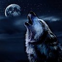 ���� Svetik ))), ���, 51 ��� - ��������� 30 ������� 2014 � ������ ������ ��������