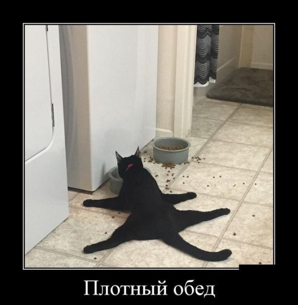 -  - 21  2014  10:48