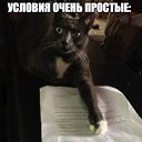  ,  -  13  2015    