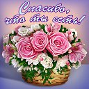 ���� �������, ����������, 69 ��� - ��������� 8 ����� 2015 � ������ �������� ��������