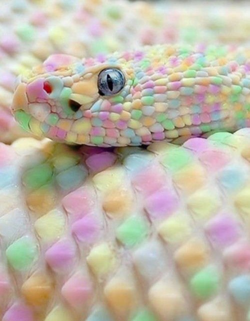   - 24  2015  14:45 - 4