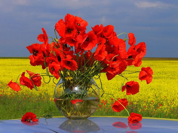 Годы, дни - Летят, летят, летят... У меня сегодня Дпень Рождения - Грустный праздник, Люди ...
