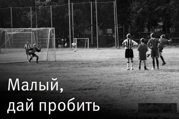 ,     . - 5