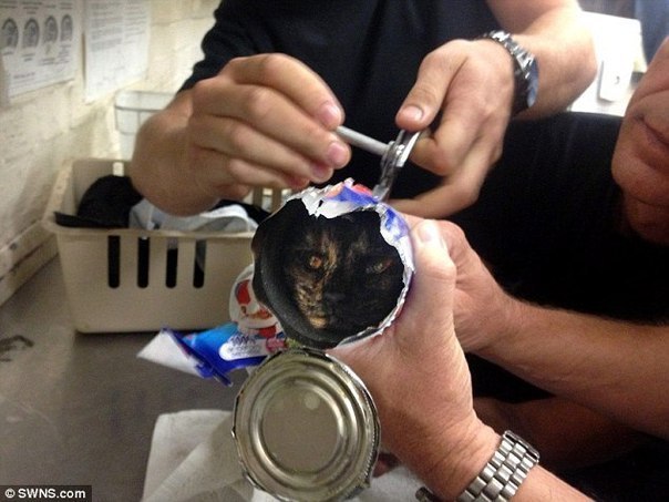 !  !!!  ,   Ũ  !     ...