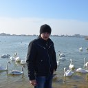 ���� ������, ���������, 42 ���� - ��������� 24 ������ 2015 � ������ �XXX�