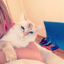 ���� ���������, ��������, 42 ���� - ��������� 1 ������ 2015 � ������ ���� ����������