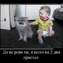 ���� ��������, ������ - ��������� 17 ���� 2015 � ������ ������ ��������